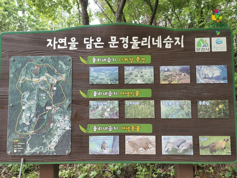 2021역량강화 숲체험